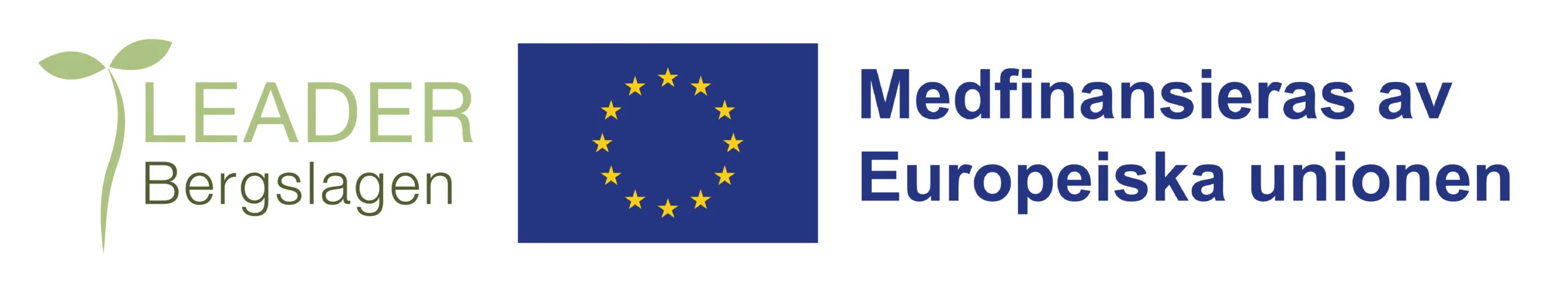 Leader logo